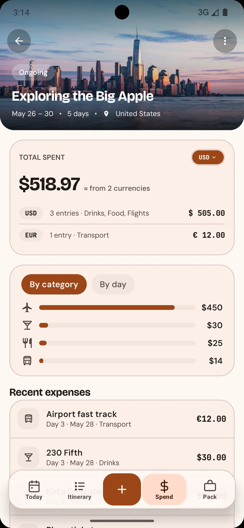 Multi-currency expense tracking